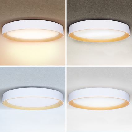 Brilagi - LED Stmívatelné stropní svítidlo LARIOS LED/72W/230V bílá pr. 59 cm + dálkové ovládání