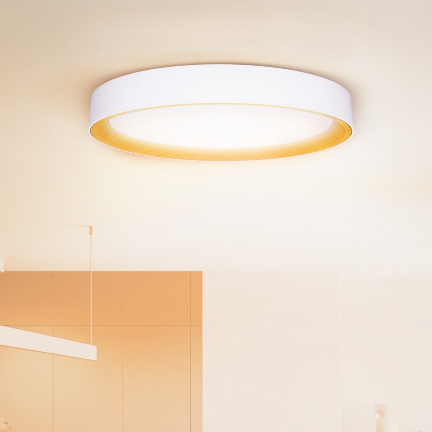 Brilagi - LED Stmívatelné stropní svítidlo LARIOS LED/72W/230V bílá pr. 59 cm + dálkové ovládání