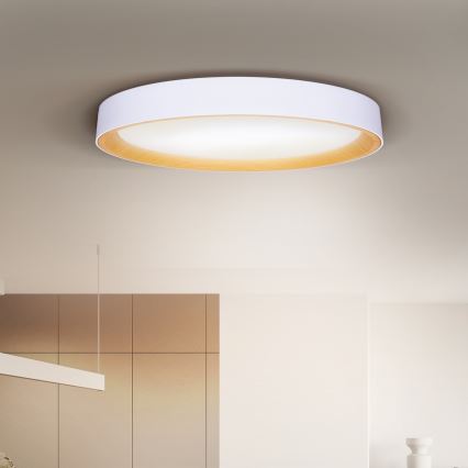 Brilagi - LED Stmívatelné stropní svítidlo LARIOS LED/72W/230V bílá pr. 59 cm + dálkové ovládání
