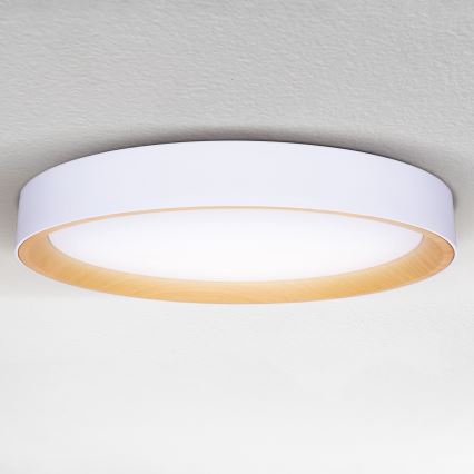 Brilagi - LED Stmívatelné stropní svítidlo LARIOS LED/72W/230V bílá pr. 59 cm + dálkové ovládání