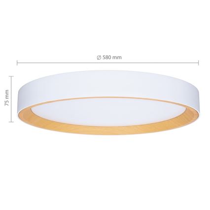 Brilagi - LED Stmívatelné stropní svítidlo LARIOS LED/72W/230V bílá pr. 59 cm + dálkové ovládání