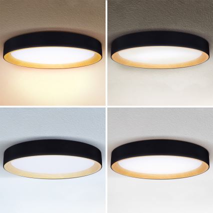 Brilagi - LED Stmívatelné stropní svítidlo LARIOS LED/72W/230V 3000-6500K černá pr. 59 cm + dálkové ovládání