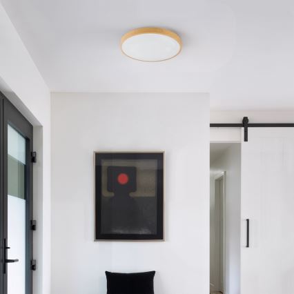 Brilagi - LED Stmívatelné stropní svítidlo GLASS POOL DOUBLE LED/48W/230V 3000-6000K 40 cm dekor dřeva + dálkové ovládání