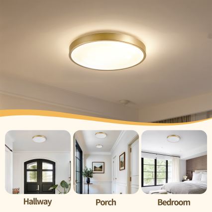 Brilagi - LED Stmívatelné stropní svítidlo GLASS POOL DOUBLE LED/48W/230V 3000-6000K 40 cm zlatá + dálkové ovládání