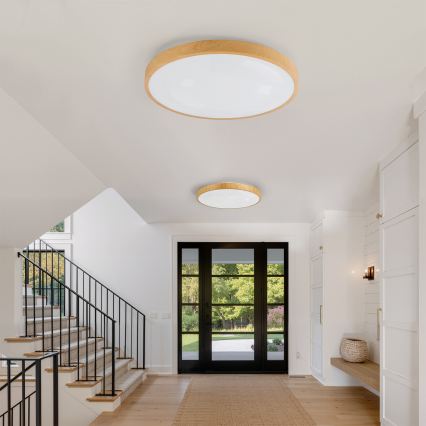 Brilagi - LED Stmívatelné stropní svítidlo GLASS POOL DOUBLE LED/80W/230V 3000-6000K 60 cm dekor dřeva + dálkové ovládání