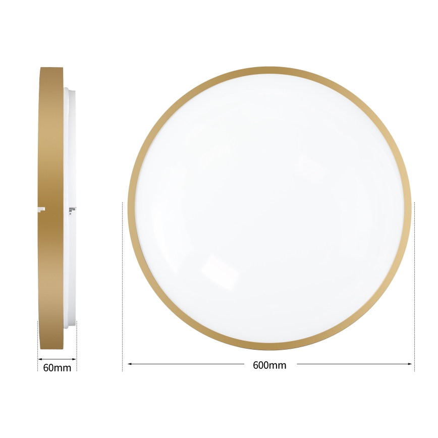 Brilagi - LED Stmívatelné stropní svítidlo GLASS POOL DOUBLE LED/80W/230V 3000-6000K 60 cm zlatá + dálkové ovládání