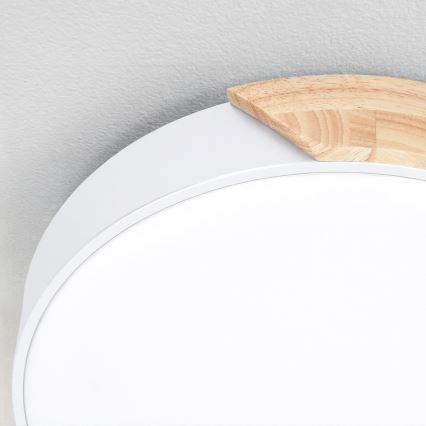 Brilagi - LED Stmívatelné stropní svítidlo PILANA LED/60W/230V 3000-6500K dub/bílá pr. 60 cm + dálkové ovládání