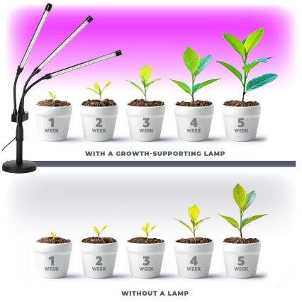 Brilagi - LED Stmívatelná flexibilní stolní lampa pro pěstování rostlin VITABLOOM 3xLED/10W/230V černá