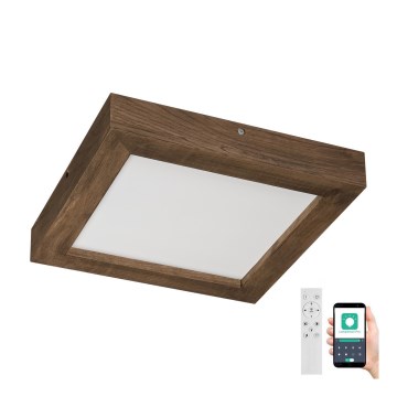 Brilagi - LED Stmívatelné koupelnové stropní svítidlo WOODY FRAME LED/24W/230V dub ořech 30x30 cm 3000-6000K IP44 + dálkové ovládání