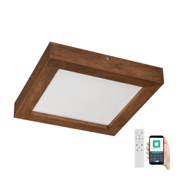 Brilagi - LED Stmívatelné koupelnové stropní svítidlo WOODY FRAME LED/24W/230V dub třešeň 30x30 cm 3000-6000K IP44 + dálkové ovládání