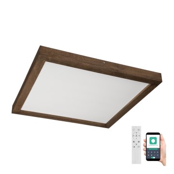Brilagi - LED Stmívatelné koupelnové stropní svítidlo WOODY FRAME LED/50W/230V dub ořech 60x60 cm 3000-6000K IP44 + dálkové ovládání