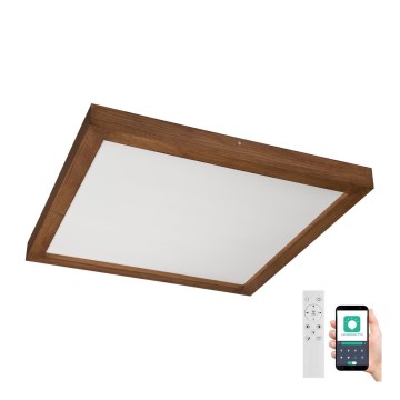 Brilagi - LED Stmívatelné koupelnové stropní svítidlo WOODY FRAME LED/50W/230V dub třešeň 60x60 cm 3000-6000K IP44 + dálkové ovládání