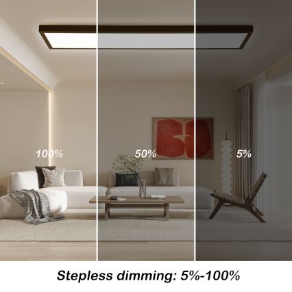 Brilagi - LED Stmívatelné koupelnové stropní svítidlo FRAME SMART LED/50W/230V 3000-6000K IP44 černá + dálkové ovládání