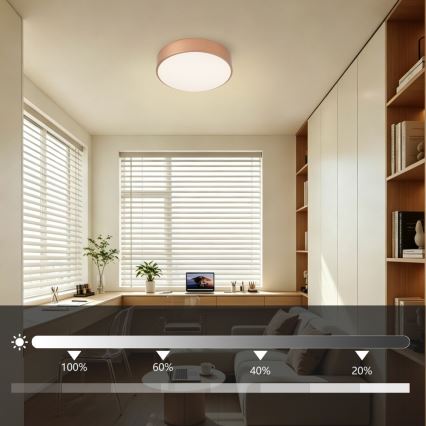 BRILAGI - LED Stmívatelné stropní svítidlo POOL LED/24W/230V 3000-6000K pr. 20 cm bronzová + dálkové ovládání
