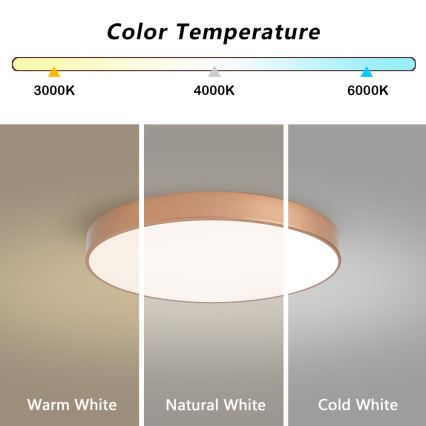 Brilagi - LED Stmívatelné stropní svítidlo POOL LED/60W/230V 3000-6000K pr. 60 cm bronzová + dálkové ovládání