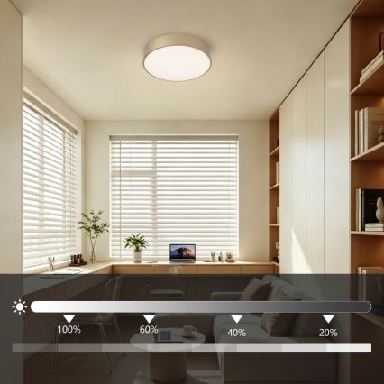 Brilagi - LED Stmívatelné stropní svítidlo POOL LED/24W/230V 3000-6000K pr. 20 cm zlatá + dálkové ovládání
