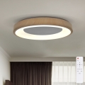 BRILAGI - LED Stmívatelné stropní svítidlo DORIA LED/60W/230V 3000-6500K pr. 60 cm + dálkové ovládání