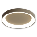 BRILAGI - LED Stmívatelné stropní svítidlo FALCON II LED/99W/230V 3000-6000K pr. 60 cm béžová + dálkové ovládání