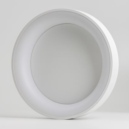 Brilagi - LED Stmívatelné stropní svítidlo FALCON LED/80W/230V 3000-6500K pr. 60 cm bílá + dálkové ovládání