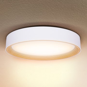 Brilagi - LED Stmívatelné stropní svítidlo LARIOS LED/48W/230V 3000-6500K pr. 39 cm bílá + dálkové ovládání