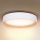 Brilagi - LED Stmívatelné stropní svítidlo LARIOS LED/48W/230V 3000-6500K pr. 39 cm bílá + dálkové ovládání