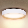 Brilagi - LED Stmívatelné stropní svítidlo LARIOS LED/60W/230V 3000-6500K pr. 49 cm bílá + dálkové ovládání