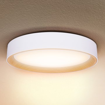 Brilagi - LED Stmívatelné stropní svítidlo LARIOS LED/60W/230V 3000-6500K ø 49 cm bílá + dálkové ovládání