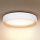 Brilagi - LED Stmívatelné stropní svítidlo LARIOS LED/60W/230V 3000-6500K ø 49 cm bílá + dálkové ovládání