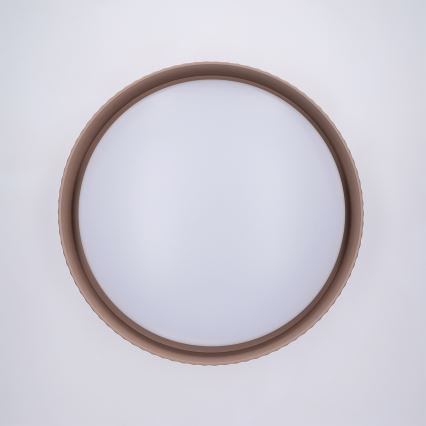 Brilagi - LED Stmívatelné stropní svítidlo LUCIA LED/48W/230V 3000-6500K pr. 41 cm taupe + dálkové ovládání