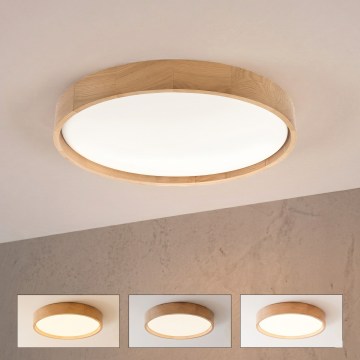 Brilagi - LED Stmívatelné stropní svítidlo MANAROLA REMOTE LED/36W/230V 3000-6500K pr. 51 cm dub + dálkové ovládání