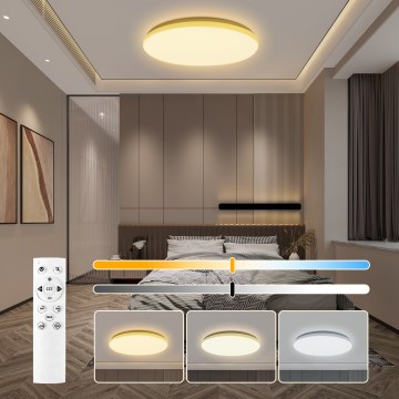 Brilagi - LED Stmívatelné stropní svítidlo MILKY WAY LED/36W/230V 3000-6500K pr. 48 cm + dálkové ovládání