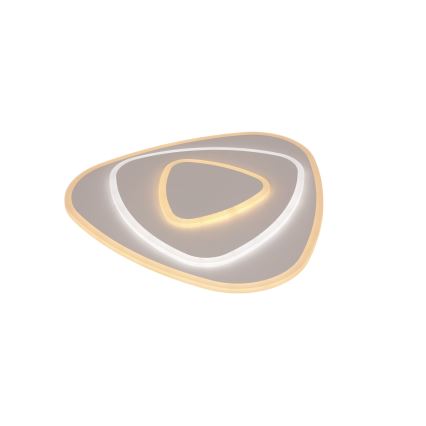 Brilagi - LED Stmívatelné stropní svítidlo MODERN LED/58W/230V 3000-6000K 47x48,5 cm + dálkové ovládání