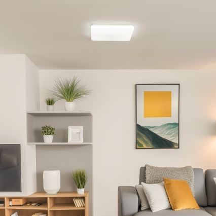 Brilagi - LED Stmívatelné stropní svítidlo OPAL LED/24W/230V 3000/4000/6500K + dálkové ovládání