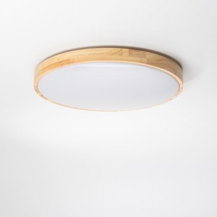 Brilagi - LED Stmívatelné stropní svítidlo PINE LED/24W/230V 3000-6500K + dálkové ovládání
