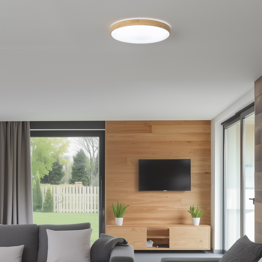 Brilagi - LED Stmívatelné stropní svítidlo PINE LED/24W/230V 3000-6500K + dálkové ovládání