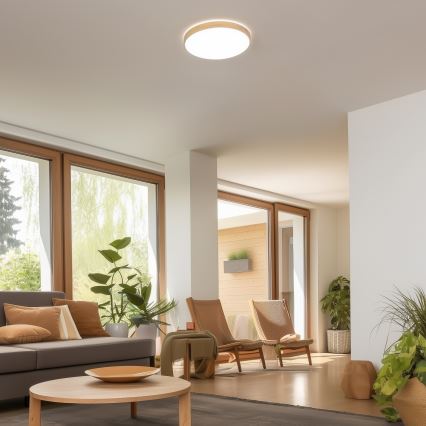 Brilagi - LED Stmívatelné stropní svítidlo PINE LED/24W/230V 3000-6500K + dálkové ovládání