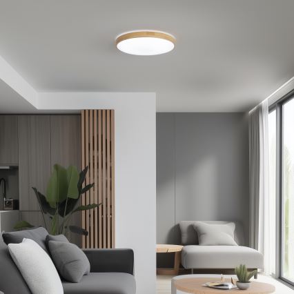Brilagi - LED Stmívatelné stropní svítidlo PINE LED/24W/230V 3000-6500K + dálkové ovládání