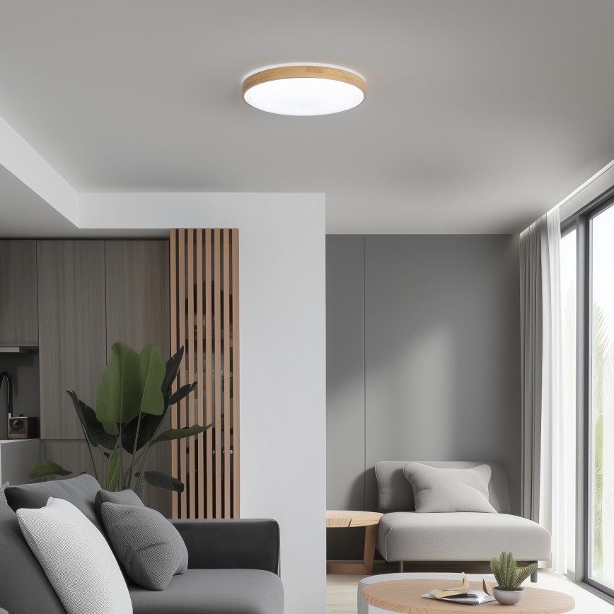 Brilagi - LED Stmívatelné stropní svítidlo PINE LED/24W/230V 3000-6500K + dálkové ovládání