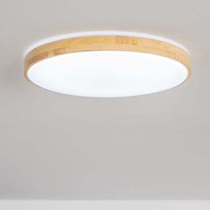 Brilagi - LED Stmívatelné stropní svítidlo PINE LED/24W/230V 3000-6500K + dálkové ovládání