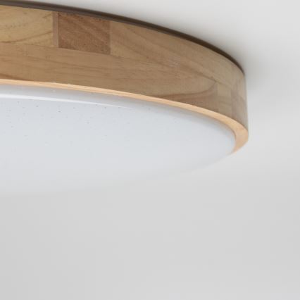 Brilagi - LED Stmívatelné stropní svítidlo PINE LED/24W/230V 3000-6500K + dálkové ovládání