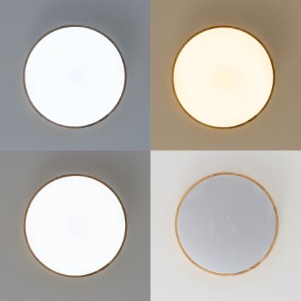Brilagi - LED Stmívatelné stropní svítidlo PINE LED/24W/230V 3000-6500K + dálkové ovládání