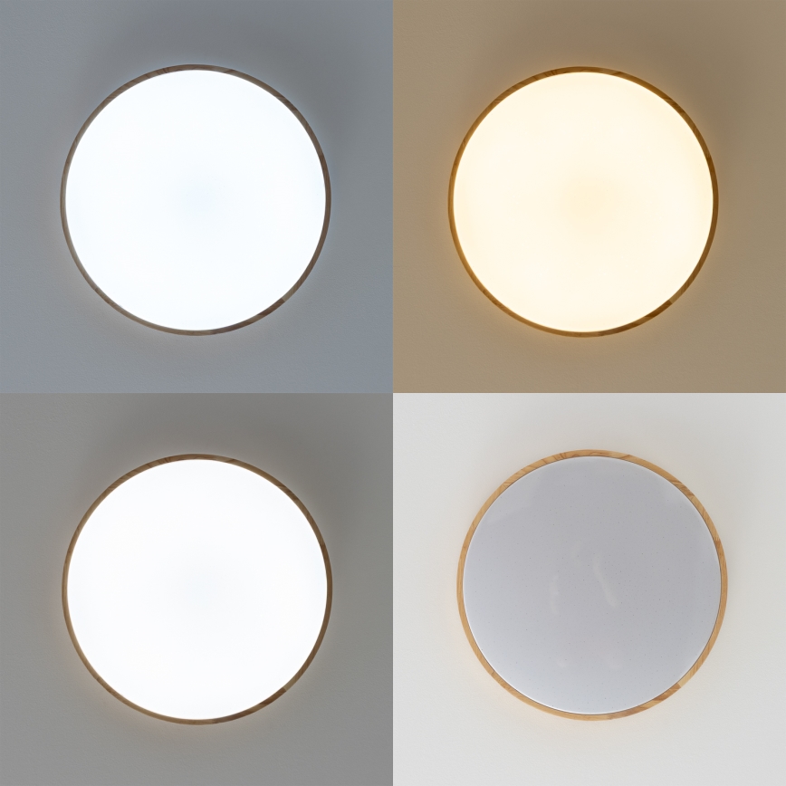 Brilagi - LED Stmívatelné stropní svítidlo PINE LED/24W/230V 3000-6500K + dálkové ovládání