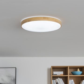 Brilagi - LED Stmívatelné stropní svítidlo PINE LED/24W/230V pr. 42 cm 3000-6500K + dálkové ovládání