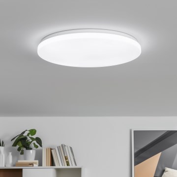 Brilagi - LED Stmívatelné stropní svítidlo PINE LED/24W/230V pr. 42 cm 3000-6500K + dálkové ovládání