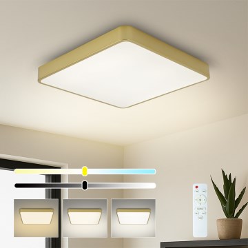 Brilagi - LED Stmívatelné stropní svítidlo POOL LED/36W/230V 3000-6000K 40x40 cm zlatá + dálkové ovládání