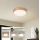 Brilagi - LED Stmívatelné stropní svítidlo POOL LED/36W/230V 3000-6000K pr. 30 cm bronzová + dálkové ovládání