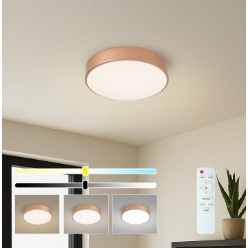 BRILAGI - LED Stmívatelné stropní svítidlo POOL LED/36W/230V 3000-6000K pr. 30 cm měděná + dálkové ovládání