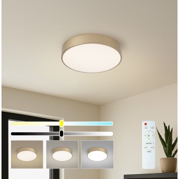 Brilagi - LED Stmívatelné stropní svítidlo POOL LED/36W/230V 3000-6000K pr. 30 cm zlatá + dálkové ovládání