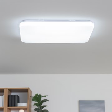 Brilagi - LED Stmívatelné stropní svítidlo SHINE LED/24W/230V pr. 60 cm 3000/4000/6500K krémová + dálkové ovládání