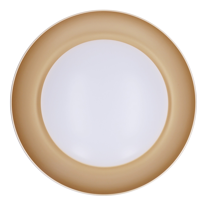 Brilagi - LED Stmívatelné stropní svítidlo ALVA LED/48W/230V 3000-6500K pr. 51 cm bílá + dálkové ovládání